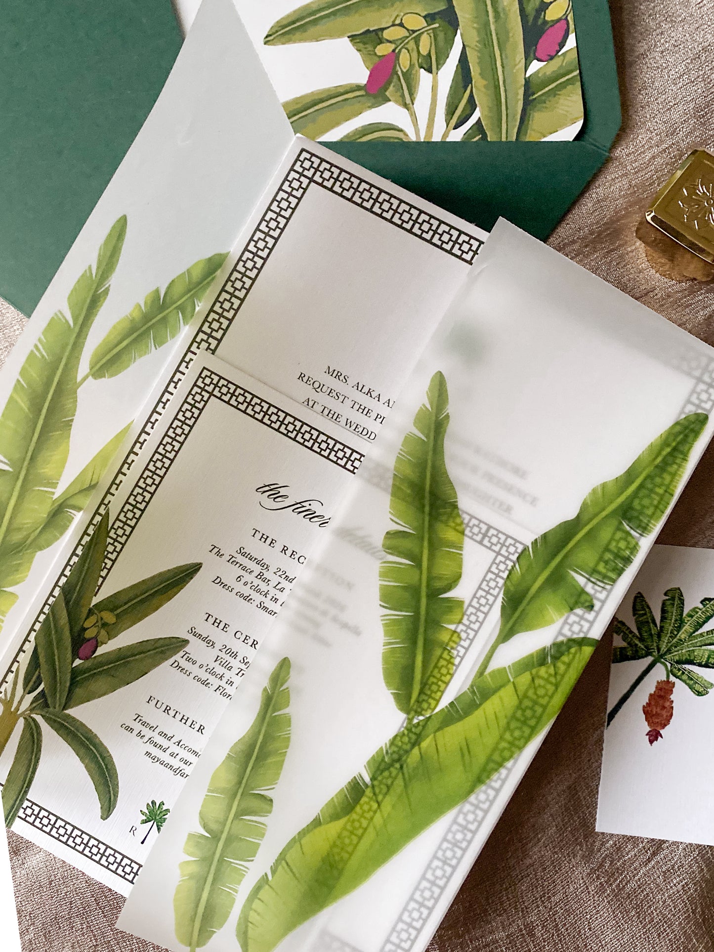 Vellum Wraps (Set Of 50)