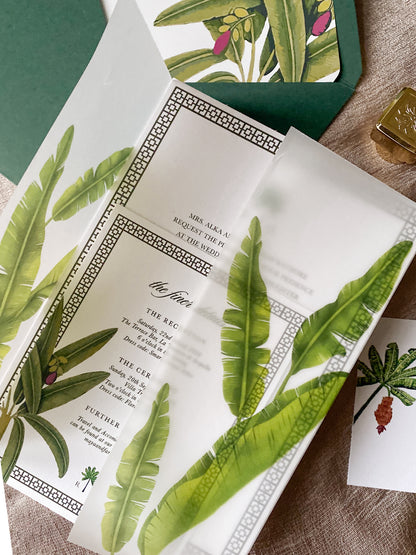 Vellum Wraps (Set Of 50)