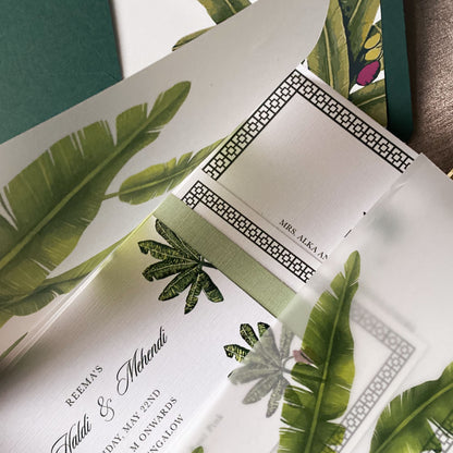 Vellum Wraps (Set Of 50)