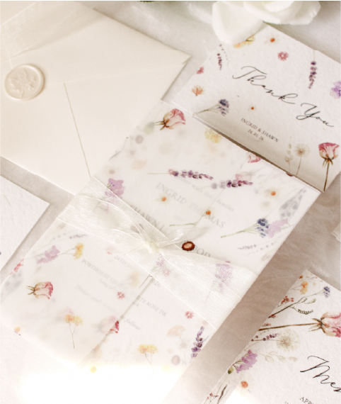 Vellum Wraps (Set Of 50)